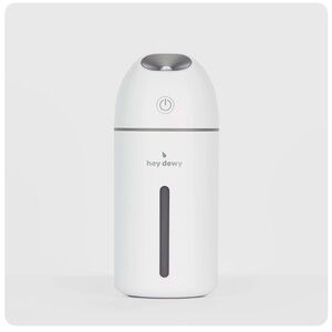 White Portable Facial Humidifier